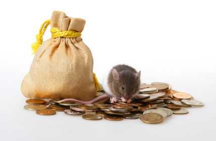Geldsack mit Münzen und Maus