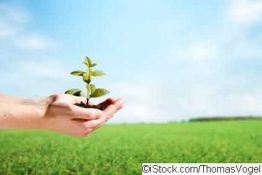 1:0 für die Energiewende: Öko-Energie hängt Kohle ab