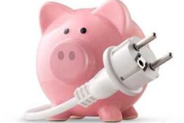 Studien-Ergebnisse: Stromverschwender + Sparer 2015