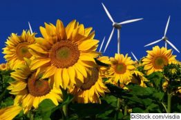 Frankreich vs. Deutschland: Energiewende im Vergleich