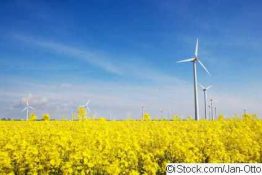 Erneuerbare Energien: Branche protestiert gegen EEG-Reform