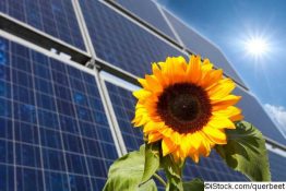 Ökostrom: Kommt jetzt die Steuer für Solaranlagen?
