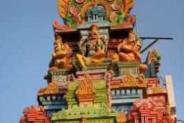 Erneuerbare Energien: So geht Energiewende auf indisch