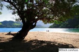 Ökostrom: Brasilien kippt Pläne für Mega-Wasserkraftwerk