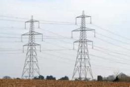 Kampf gegen Stromtrassen: Das planen Naturschützer