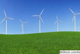 Windkraft-Ausbau: Kommt der Naturschutz unter die Windräder?
