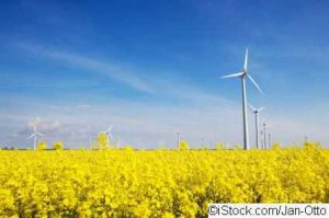 Bild Windenergie