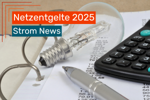 Glühbirne liegt auf einer Rechnung