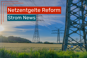 Eine grüne Landschaft mit Freileitungsmasten