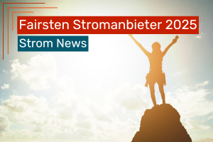 Silhouette einer Person, die triumphierend auf einem Felsen steht, mit erhobenen Armen vor hellem Himmel. Darüber liegt ein Textbanner mit der Aufschrift ‚Fairsten Stromanbieter 2025 – Strom News‘.