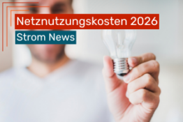 Netzentgelte 2026: So verändern sich die Stromkosten nächstes Jahr Netzentgelte 2026: So verändern sich die Stromkosten nächstes Jahr