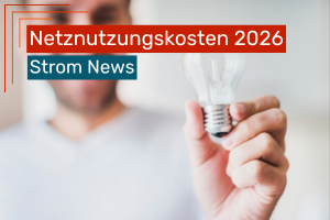 Ein Mann hält eine Glühbirne in der Hand, der Hintergrund ist unscharf. Im Bild steht der Text 'Netznutzungskosten 2026 – Strom News'