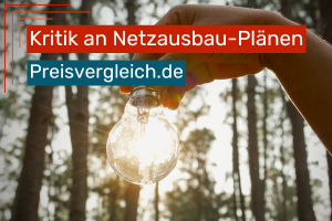 Hand hält leuchtende Glühbirne im Wald